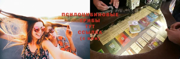 apvp Пестово