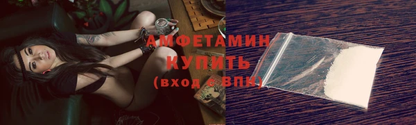 шишки Осташков