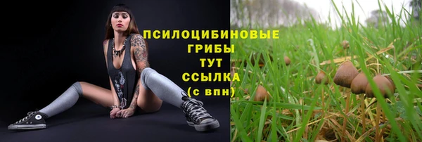 MESCALINE Переславль-Залесский