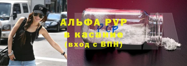 шишки Осташков