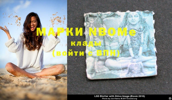 шишки Осташков