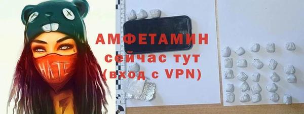 стаф Пересвет