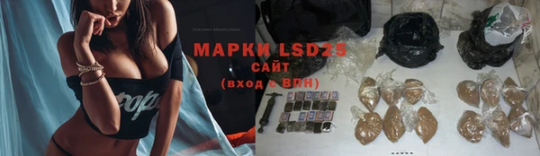 шишки Осташков