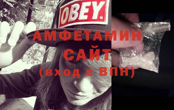 шишки Осташков