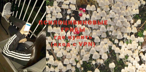 ALPHA PVP Остров