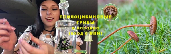 альфа пвп Осинники