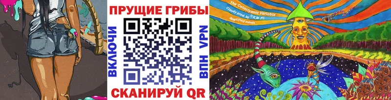 Псилоцибиновые грибы GOLDEN TEACHER  где купить   Новый Оскол 